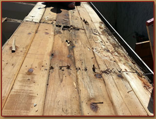 Termites and Dry Rot Huntington Beach with Blue Knight Termite Control and Construction